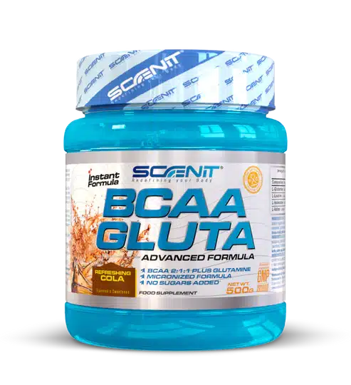 Scenit Bcaa + Glutamina 500 Gr - Imagen 3