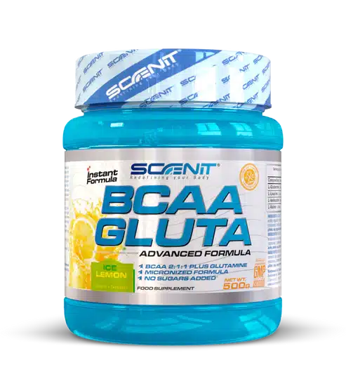Scenit Bcaa + Glutamina 500 Gr - Imagen 2