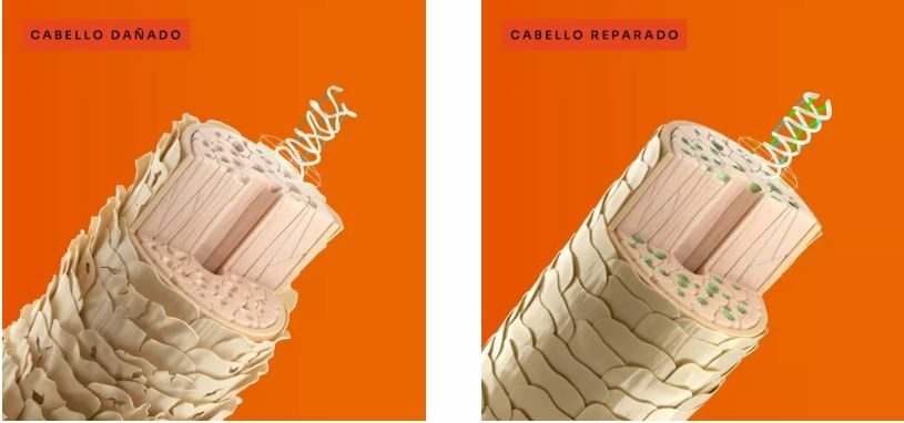 Champú reparador BC Schwarzkopf R-TWO Clean Performance - Imagen 2