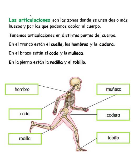 Laboratorios Tegor Osteoter Forte 60 Caps - Imagen 2